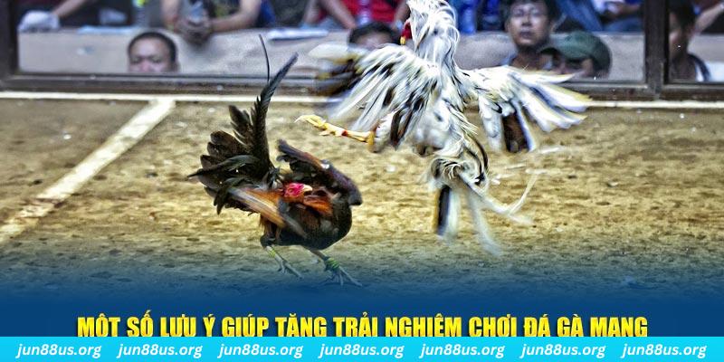 Đá Gà Mạng Jun88: Trải Nghiệm Chơi Đá Gà Trực Tuyến Hấp Dẫn 3 Một số lưu ý giúp tăng trải nghiệm chơi Đá gà mạng