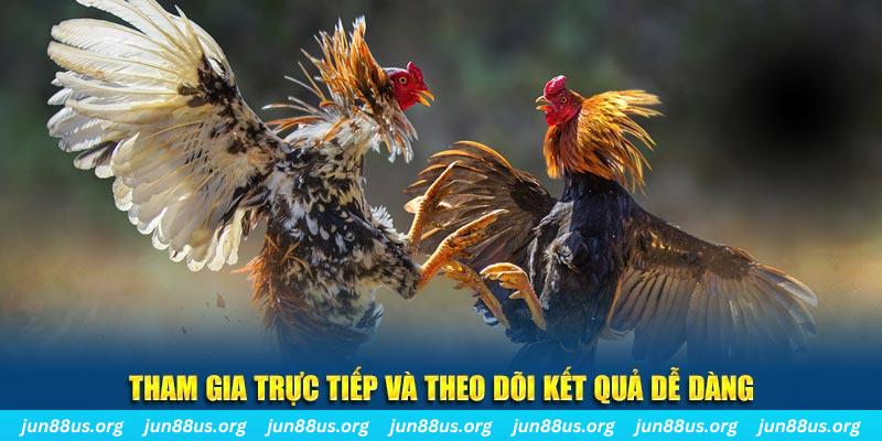 Xem Đá Gà Thomo Trực Tiếp Tại Jun88 – Cập Nhật Liên Tục 4 Tham gia trực tiếp và theo dõi kết quả dễ dàng