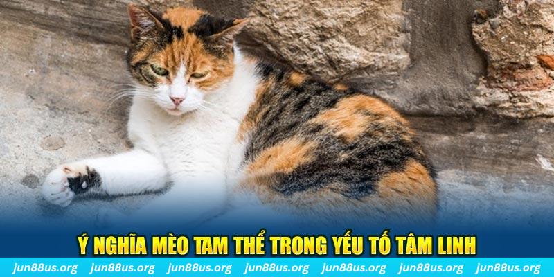 Giải Mã Mơ Thấy Mèo Tam Thể - Mối Liên Hệ Với Các Con Số 1 Ý nghĩa mèo tam thể trong yếu tố tâm linh