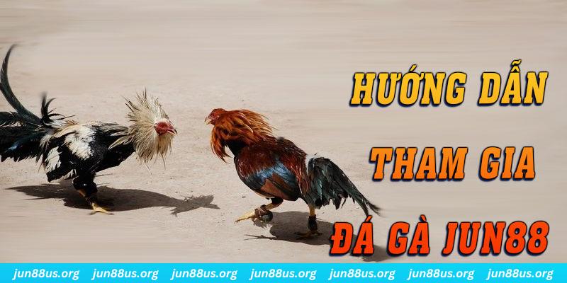 Đá Gà - Cùng Các Chiến Kê Ra Sân Nhận Thưởng Hấp Dẫn 3 Hướng dẫn tham gia một cách chi tiết, an toàn
