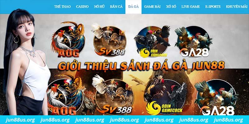 Đá Gà - Cùng Các Chiến Kê Ra Sân Nhận Thưởng Hấp Dẫn 1 Giới thiệu thông tin quan trọng cần biết về chuyên mục đá gà