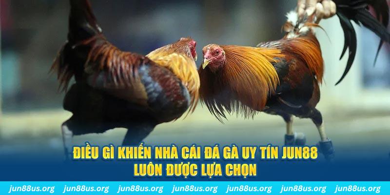 Jun88 - Nhà Cái Đá Gà Uy Tín, Chất Lượng Top 1 Việt Nam 2024 2 Điều gì khiến nhà cái đá gà uy tín Jun88 luôn được lựa chọn