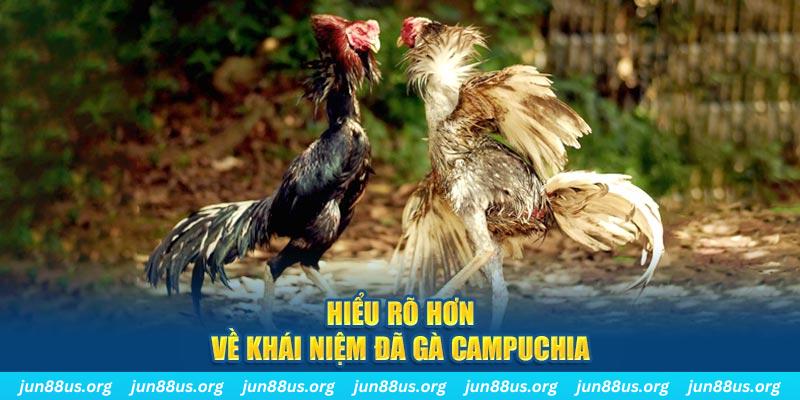 Đá Gà Campuchia - Trải Nghiệm Phút Giây Nghẹt Thở Tại Jun88 1 Hiểu rõ hơn về khái niệm đá gà Campuchia