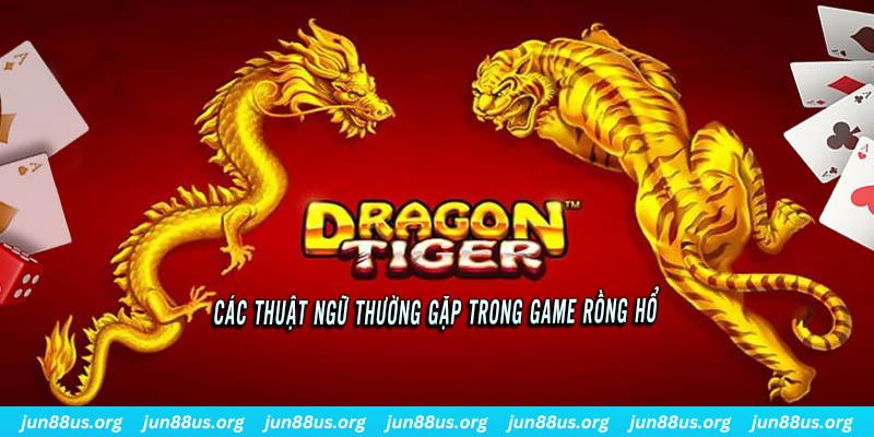 Rồng Hổ - Hướng Dẫn Cách Chơi Nhanh Chóng, Đơn Giản, Dễ Hiểu 2 Một vài thuật ngữ thông dụng cần nắm trước khi tham gia