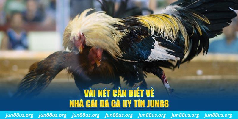 Jun88 - Nhà Cái Đá Gà Uy Tín, Chất Lượng Top 1 Việt Nam 2024 1 Vài nét cần biết về nhà cái đá gà uy tín Jun88